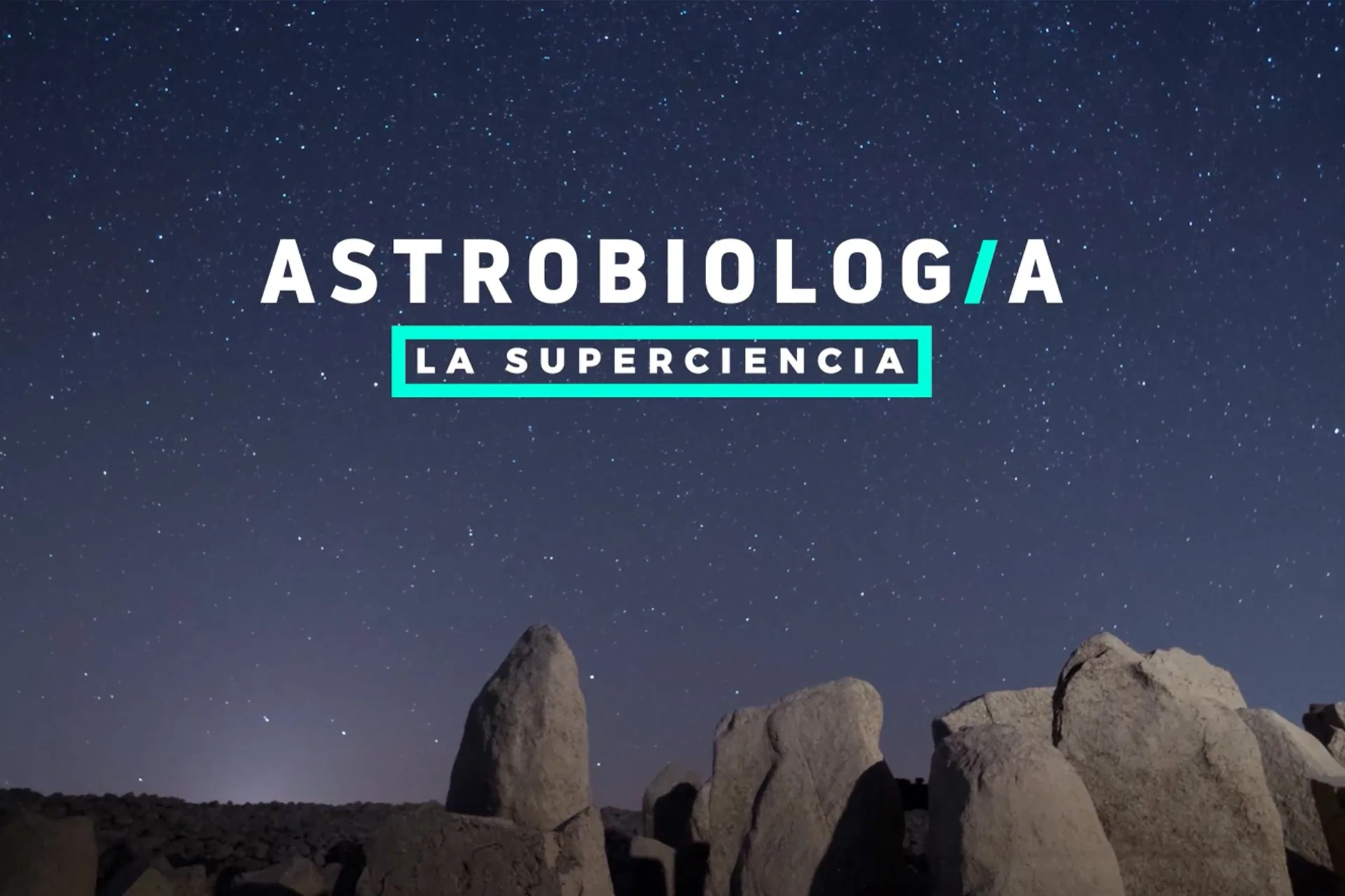 Instalaciones de Synopsis — vista 5