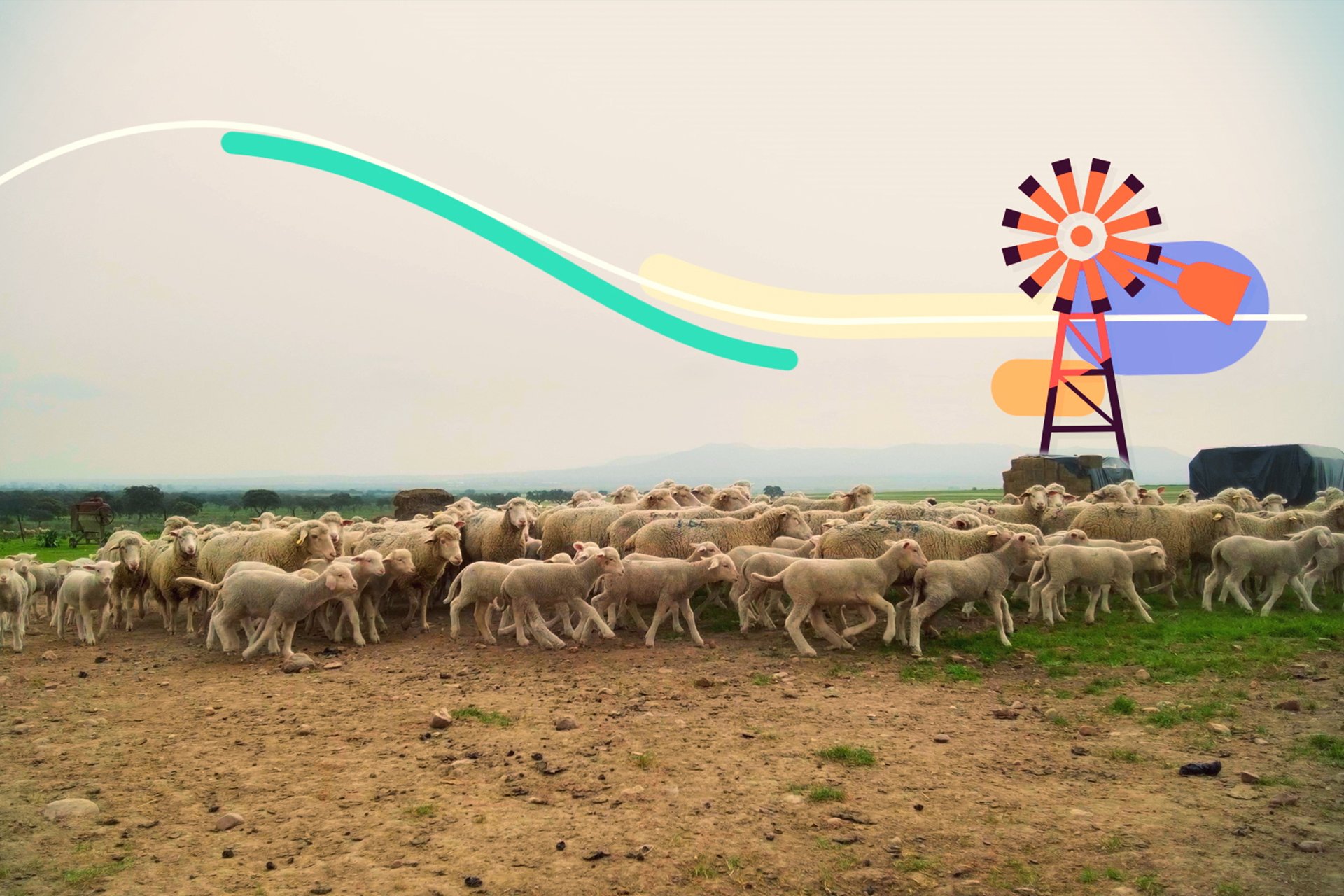 Maestros del Campo